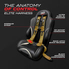 Baja Gold 4 Point Harness