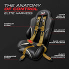 Baja Gold 5 Point Harness