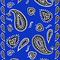 BLUE BANDANA