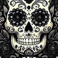 Black Sugar Skull